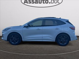 FORD Kuga 2.5 full hybrid ST-Line 2wd 190cv cvt