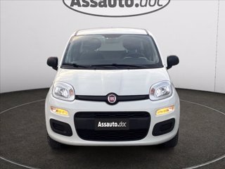 FIAT Panda 1.2 Easy 69cv