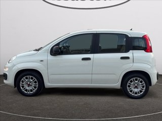 FIAT Panda 1.2 Easy 69cv