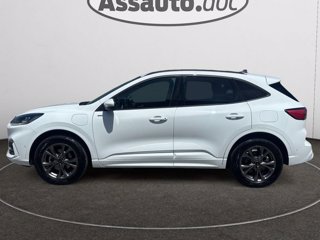 FORD Kuga 2.5 Benzina FHEV 190CV 2WD ST-Line Aut